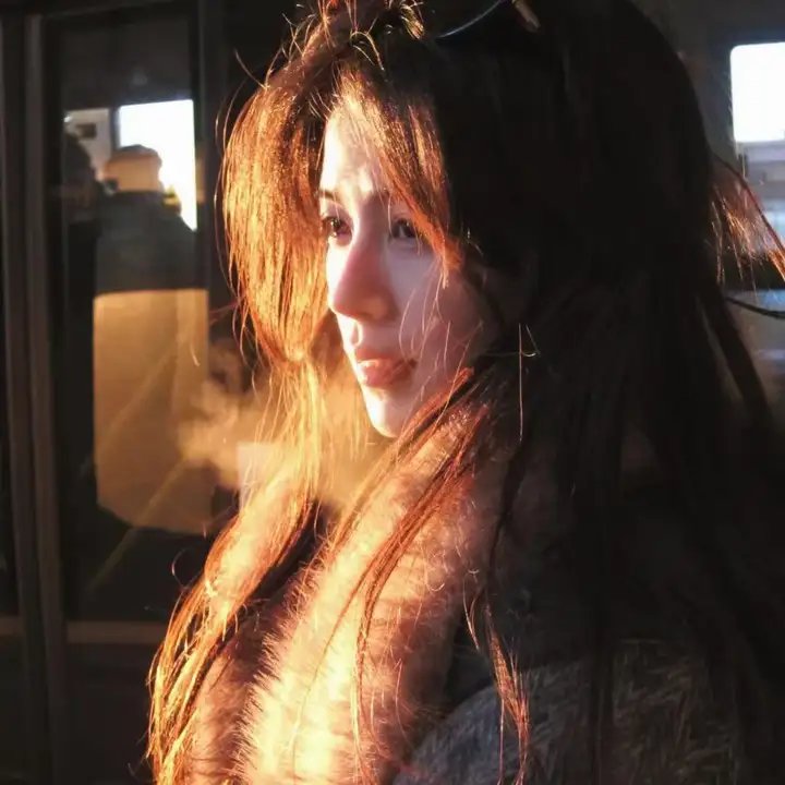 龙之家族第一季